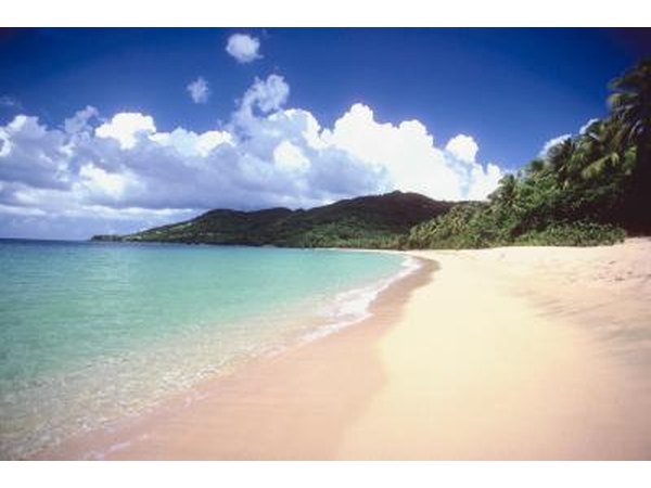 Combined with the scenic tropical locations and healthy island cuisine, these working vacations are a pleasure for instructors and guests alike.