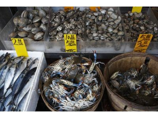 Oysters, shellfish, and seafood for sale at a market.