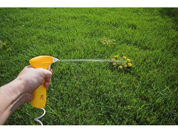One of the responsibilities of a lawn care technician is to prevent weeds.