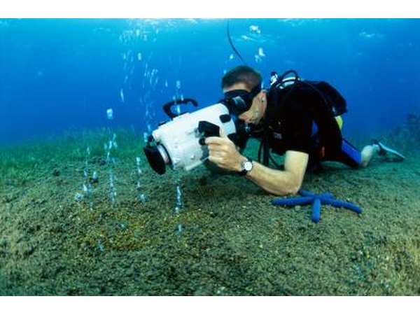 Scuba diver with an underwater camera