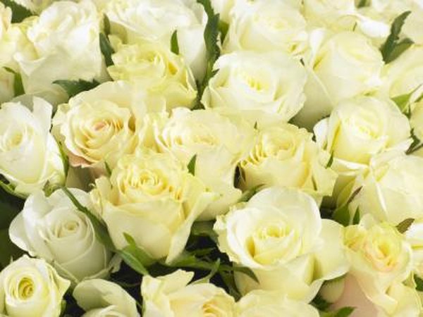 Give small surprise gifts for the 22 days leading up to your anniversary.