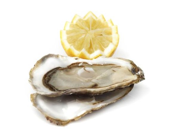 A plate of raw oysters.