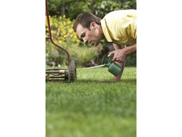 Reel mowers require less maintenance than rotary mowers.