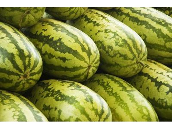 Consume watermelon, lettuce, cucumbers and berries to lose water weight.