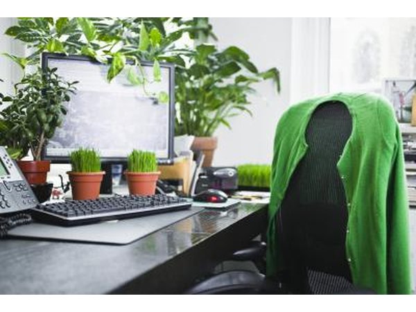 Consider buying a plant instead of the traditional flowers.