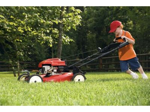 Mowing lawns.