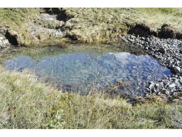 small collection of clean water on ground