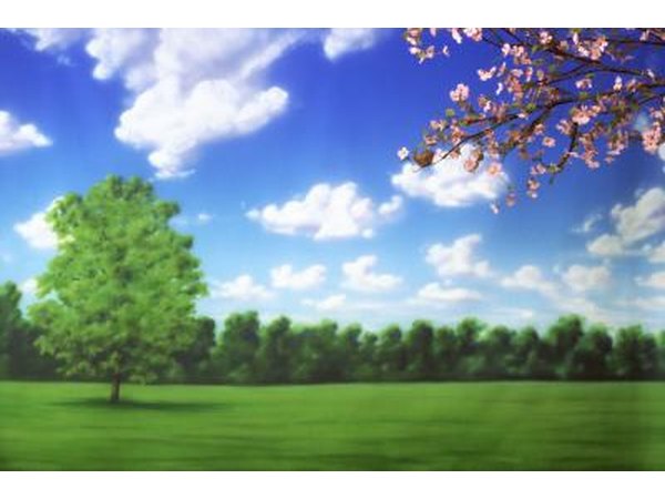 Spring