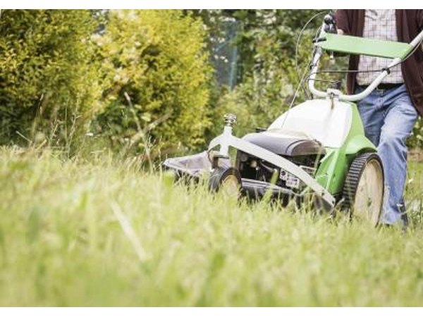 A man mowing his lawn