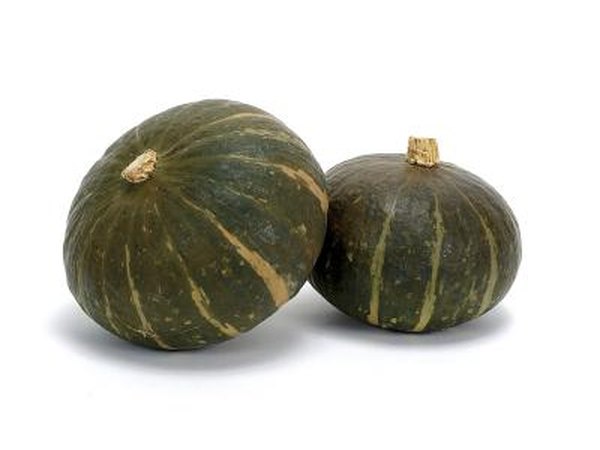 Summer Squash