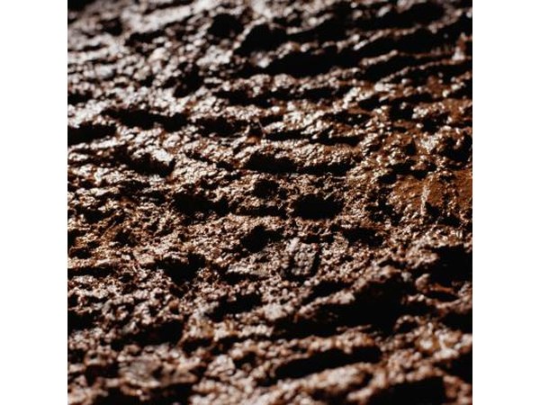 Mud