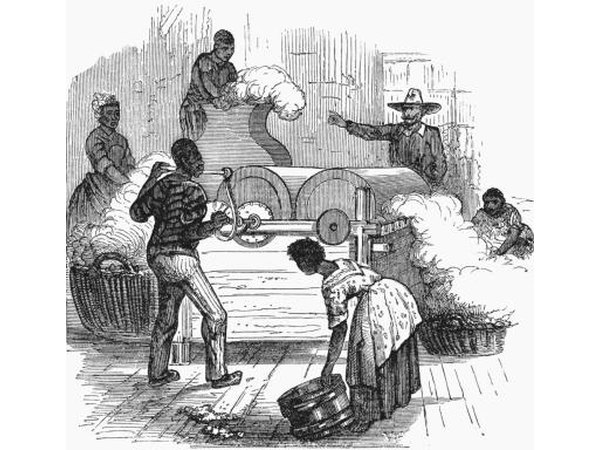 The South relied on slave labor, and cash crops like cotton
