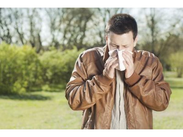 Cottonwood allergies may produce symptoms of hay fever.