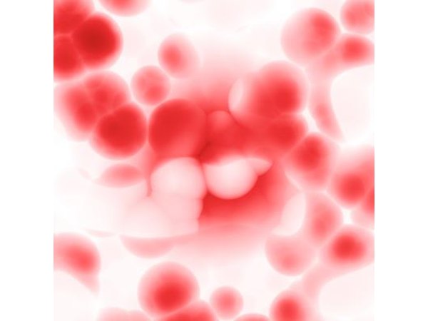 Closeup image of body cells