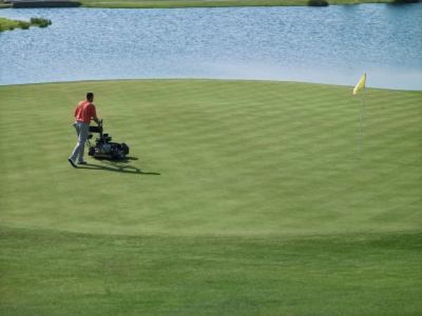 Golf courses employ groundskeepers to maintain the lawn.