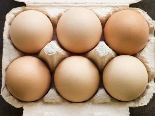 You can use recycled egg cartons.