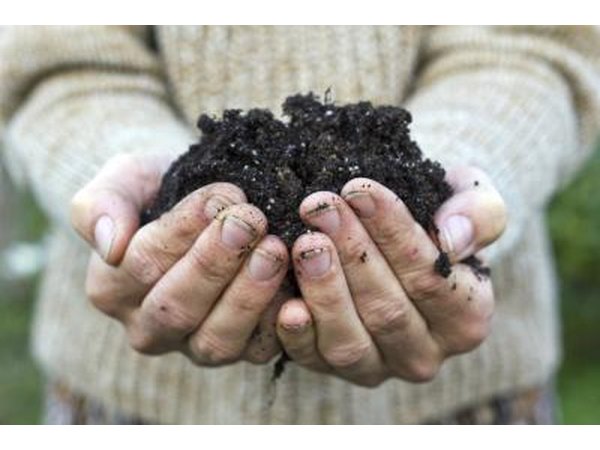 man holding mulch