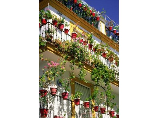 Attaching plants to a wall increases the size of your garden.