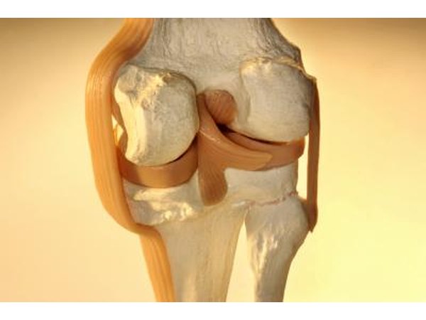 Cartilage.
