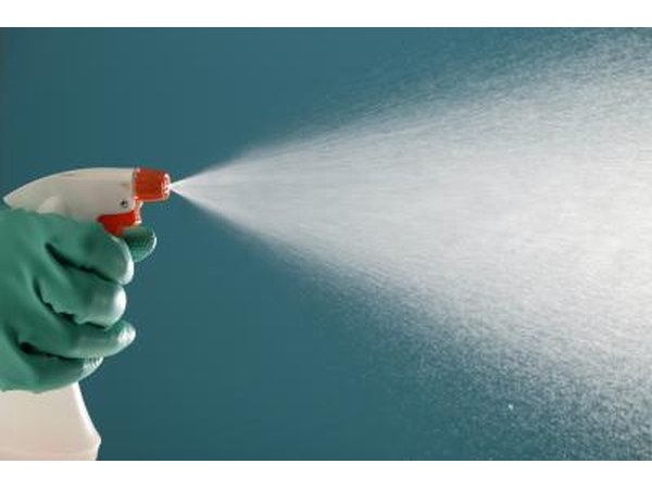 spray bottle