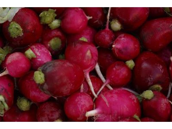 Radishes
