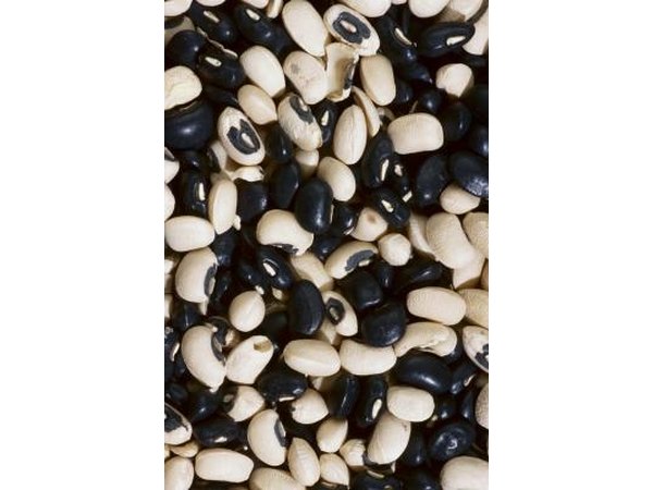 beans
