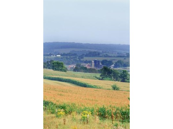Illinois