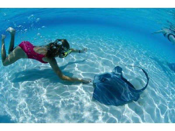 Stingray City on Grand Cayman offers underwater adventures.