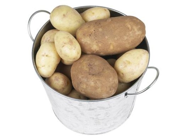 Russet potatoes work well in scalloped potato dishes.