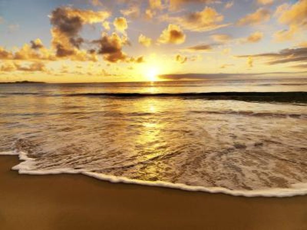 The sun determines the temperature of large bodies of water.
