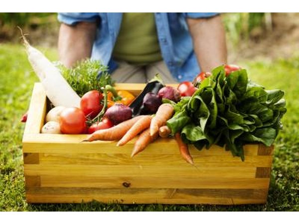 Gardener holding a box of fresh vegetables