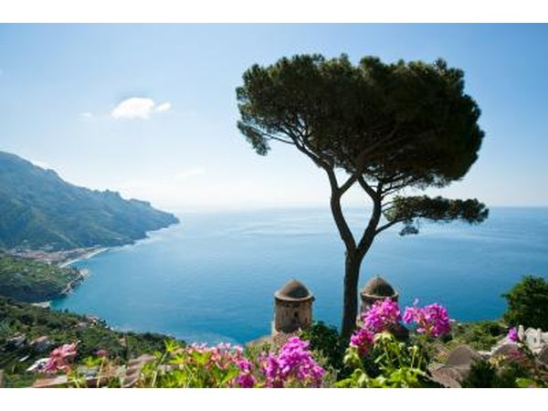 Gorgonzola cheese has it roots in Italy.