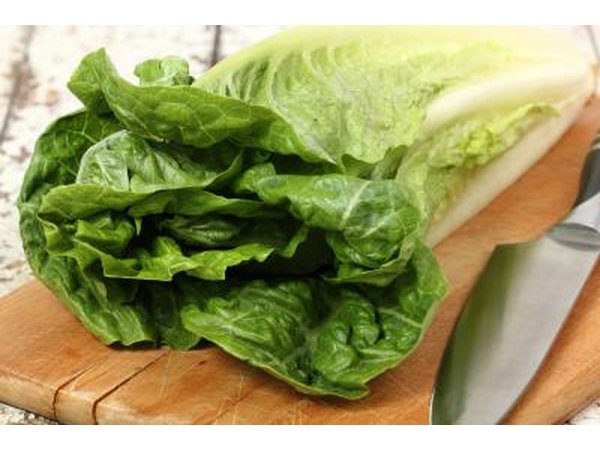 romaine lettuce is a good source of fiber