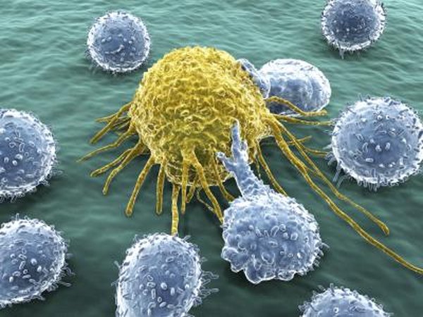 T-lymphocytes attacking a cancer cell