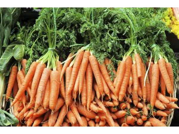 choose fresh vegetables rather than canned
