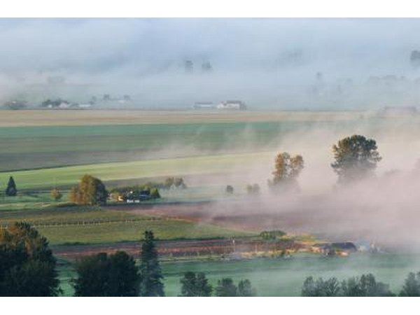Foggy sunrise in the Fraser Valley region