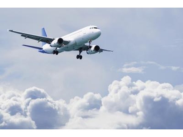American Airlines has shipped animals for over fifty years.