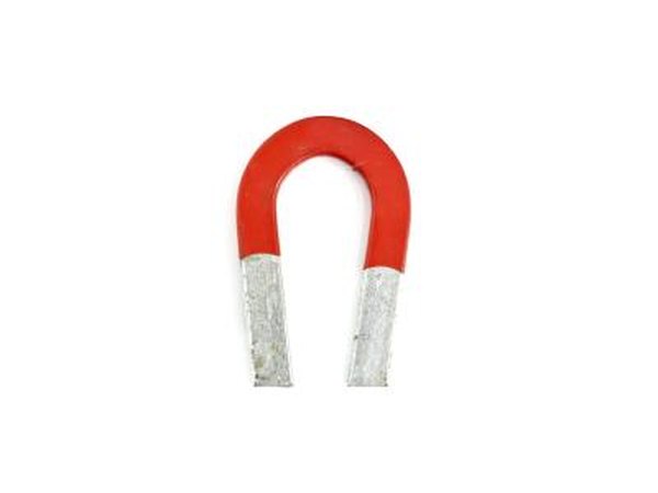 Magnet