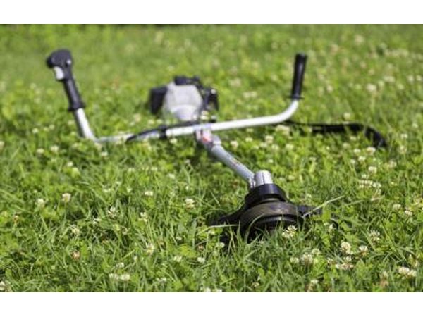 Trimmer on the grass.