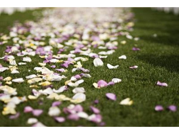 Originally, the flower petals may have been used to ward off evil spirits.