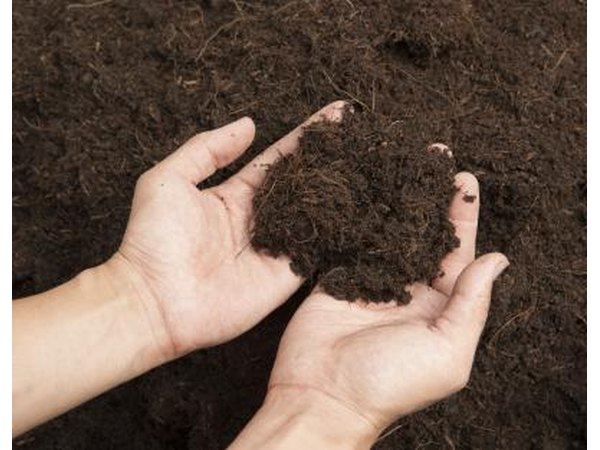 Handful of soil
