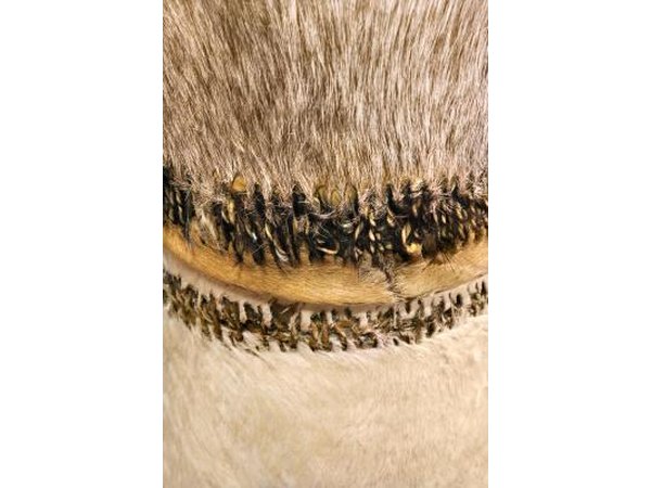 Stitched animal skins on an African drum