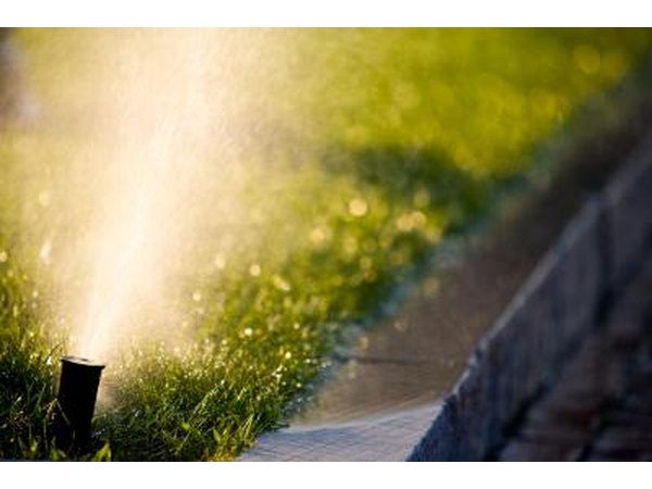 Water is important for grass to grow correctly.