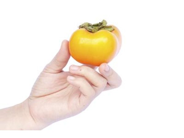 Hand holding a persimmon.