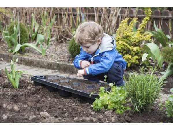 Young boy looks over recently planted vegetable garden