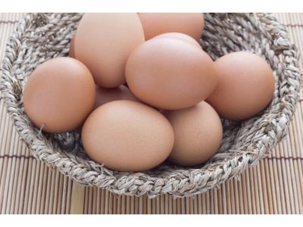 Consume protein and from a wide variety of sources.