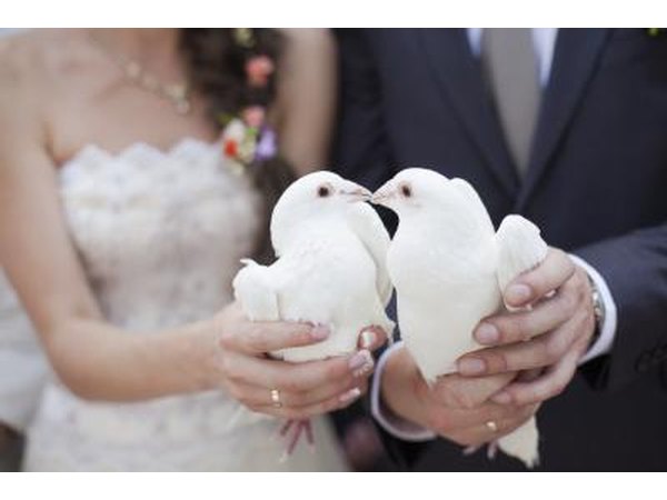 Doves being held by bride and groom