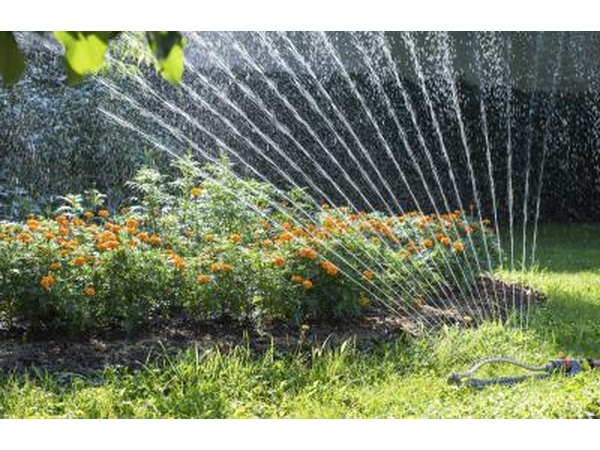 Sprinkler system shooting water at plants