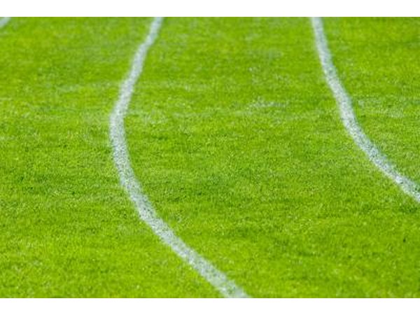 Track lanes on grass for a game.