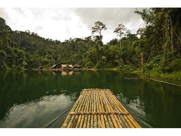 Usually, warm water is beneficial to plants that grow in the water
